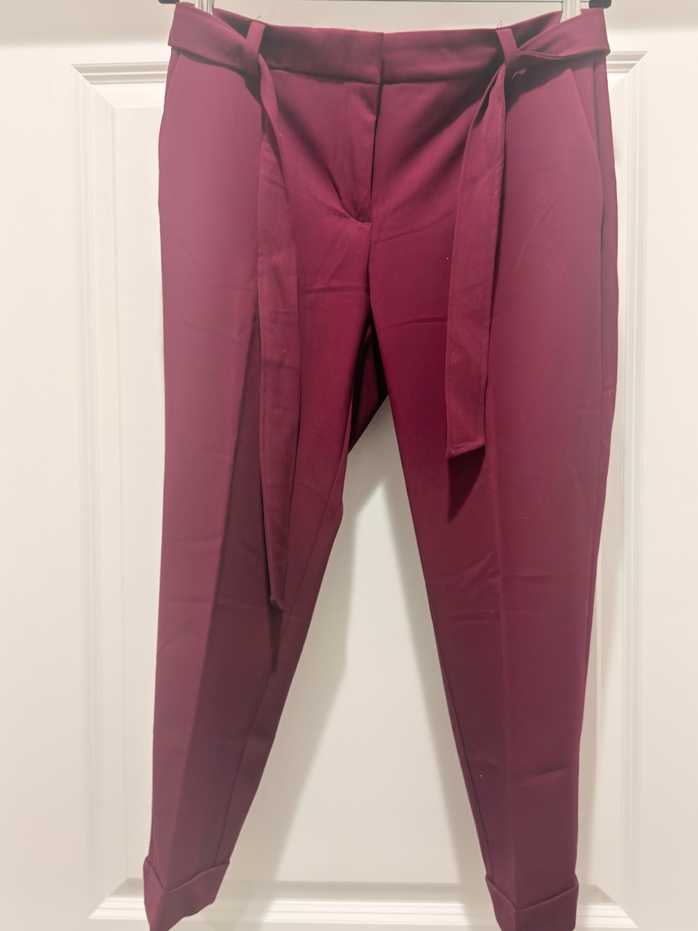 Wine High-Waist Tie-Belt Pants